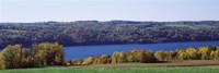 Trees at the lakeside, Owasco Lake, Finger Lakes, New York State, USA Fine Art Print