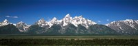 Trees in a forest with mountains in the background, Teton Point Turnout, Teton Range, Grand Teton National Park, Wyoming, USA Fine Art Print