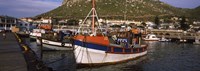 Fishing boats moored at a harbor, Kalk Bay Harbour, Kalk Bay, False Bay, Cape Town, Western Cape Province, South Africa Fine Art Print