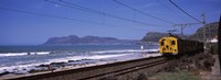 Train on railroad tracks, False Bay, Cape Town, Western Cape Province, Republic of South Africa Fine Art Print