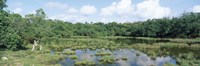 Reflection of clouds in water, Watamu Marine National Park, Watamu, Coast Province, Kenya Fine Art Print