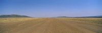 Dirt road passing through a landscape, Masai Mara National Reserve, Great Rift Valley, Kenya Fine Art Print