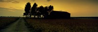 Silhouette of a farmhouse at sunset, Polesine, Veneto, Italy Fine Art Print