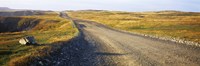 Gravel road passing through a landscape, Cape Bonavista, Newfoundland, Newfoundland and Labrador, Canada Fine Art Print