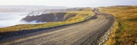 Dirt road passing through a landscape, Cape Bonavista, Newfoundland, Newfoundland and Labrador, Canada Fine Art Print