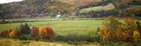 Cape Breton Highlands near North East Margaree, Nova Scotia, Canada by Panoramic Images - 27" x 9"