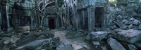 Overgrown tree roots on ruins of a temple, Ta Prohm Temple, Angkor, Cambodia Fine Art Print