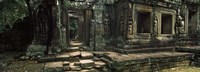 Ruins of a temple, Banteay Kdei, Angkor, Cambodia Fine Art Print