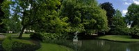 Trees in a park, Queen Astrid Park, Bruges, West Flanders, Belgium Fine Art Print