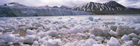 Ice floes in the sea with a glacier in the background, Norway Fine Art Print