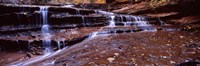 Stream flowing through rocks, North Creek, Utah Fine Art Print