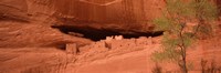 Ruins of house, White House Ruins, Canyon De Chelly, Arizona, USA Fine Art Print