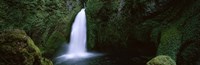 Cascading waterfall in the Columbia River Gorge, Oregon, USA Fine Art Print