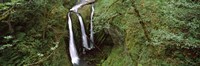 High angle view of a waterfall in a forest, Triple Falls, Columbia River Gorge, Oregon (horizontal) Fine Art Print