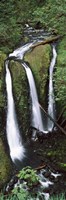 High angle view of a waterfall in a forest, Triple Falls, Columbia River Gorge, Oregon (vertical) Fine Art Print