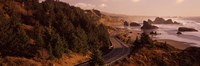 Highway along a coast, Highway 101, Pacific Coastline, Oregon, USA Fine Art Print