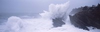 Waves breaking on the coast, Shore Acres State Park, Oregon Fine Art Print