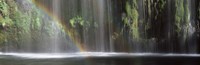 Rainbow formed in front of waterfall in a forest, near Dunsmuir, California Fine Art Print