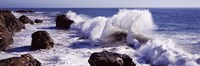 Waves breaking on the coast, Santa Cruz, Santa Cruz County, California Fine Art Print