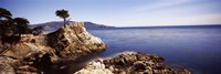 Cypress tree at the coast, The Lone Cypress, 17 mile Drive, Carmel, California by Panoramic Images - 27" x 9"