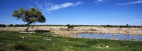 Wild animals at a waterhole, Okaukuejo, Etosha National Park, Kunene Region, Namibia Fine Art Print