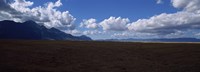Cattle pasture, Highway N7 from cape town to Namibia towards Citrusdal, Western Cape Province, South Africa Fine Art Print
