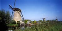 Traditional windmills in a field, Netherlands Fine Art Print