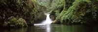 Waterfall in a forest, Punch Bowl Falls, Eagle Creek, Hood River County, Oregon, USA by Panoramic Images - 27" x 9"