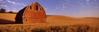 Old barn in a wheat field, Palouse, Whitman County, Washington State Fine Art Print