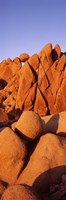 Rock formations on a landscape, Twenty Nine Palms, San Bernardino County, California, USA by Panoramic Images - 9" x 27"