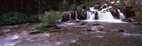 Waterfall in a forest, US Glacier National Park, Montana, USA Fine Art Print