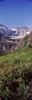 Alpine wildflowers on a landscape, US Glacier National Park, Montana, USA by Panoramic Images - 9" x 27"