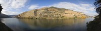 Vineyards at the riverside, Cima Corgo, Duoro River, Douro Valley, Portugal Fine Art Print
