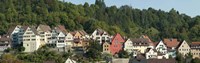 Buildings in a city, Horb am Neckar, Northern Black Forest Region, Baden-Wurttemberg, Germany Fine Art Print