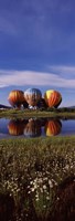 Hot Air Balloon Rodeo, Steamboat Springs, Colorado (vertical) Fine Art Print