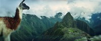 Machu Picchu Pictures