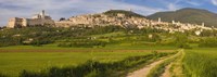 Village on a hill, Assisi, Perugia Province, Umbria, Italy Fine Art Print