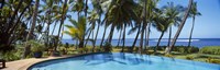 Palm Trees in Maui, Hawaii (horizontal) Fine Art Print