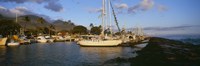 Sailboats in the bay, Lahaina Harbor, Lahaina, Maui, Hawaii, USA Fine Art Print