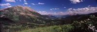 Wildflowers with mountains in the background, Crested Butte, Gunnison County, Colorado, USA Fine Art Print