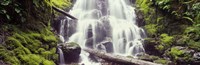 Waterfall in a forest, Waheena Falls, Hood River, Oregon, USA Fine Art Print