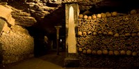 Stacked bones in catacombs, Paris, Ile-de-France, France Fine Art Print