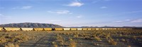 Freight train in a desert, Trona, San Bernardino County, California, USA Fine Art Print
