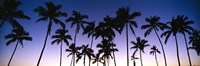 Silhouettes of palm trees at sunset Fine Art Print