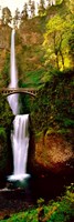 Footbridge in front of a waterfall, Multnomah Falls, Columbia River Gorge, Multnomah County, Oregon by Panoramic Images - 9" x 27"