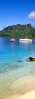 Sailboats in the ocean, Tahiti, Society Islands, French Polynesia (vertical) by Panoramic Images - 9" x 27"