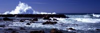 Waves breaking on the coast by Panoramic Images - 27" x 9"