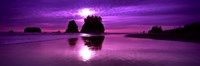 Silhouette of sea stacks at sunset, Second Beach, Washington State Fine Art Print