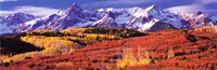 Forest in autumn with snow covered mountains in the background, Telluride, San Miguel County, Colorado, USA Fine Art Print
