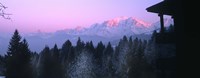 Trees with snow covered mountains at sunset in winter, Combloux, Mont Blanc Massif, Haute-Savoie, Rhone-Alpes, France Fine Art Print